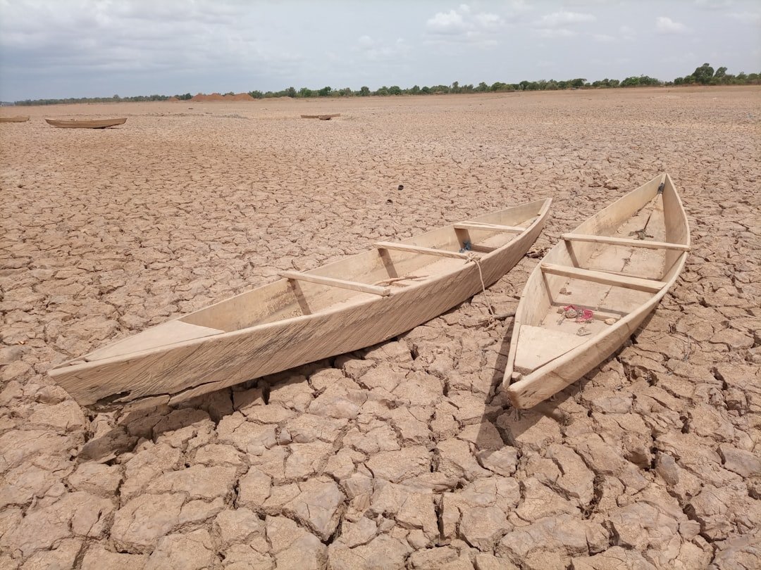 The Pulse of Droughts and Big Leaps (image credits: unsplash)