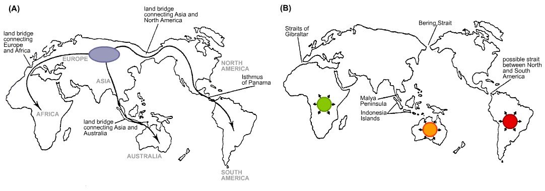 Coasts, Rivers, and Humanity’s First Long Journeys (image credits: wikimedia)