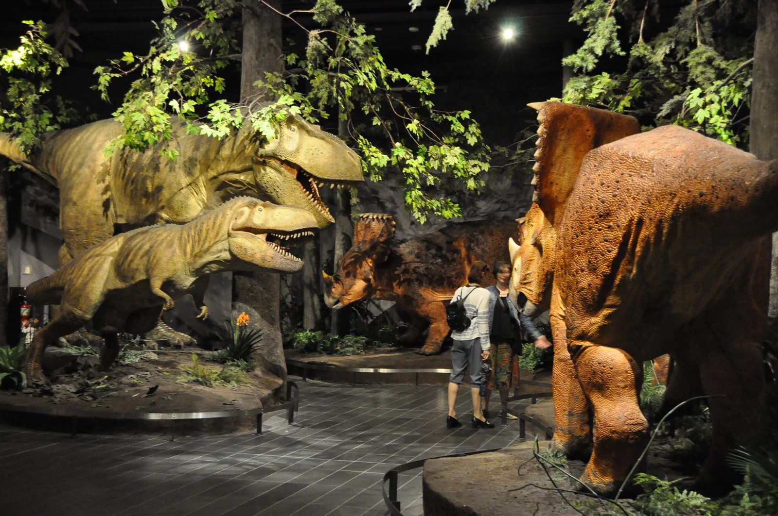 The Planet Dinosaurs Would Inherit (image credits: wikimedia)