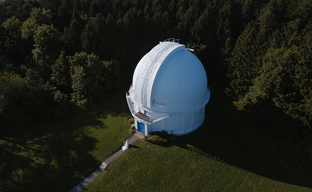 Conclusion (image credits: unsplash)