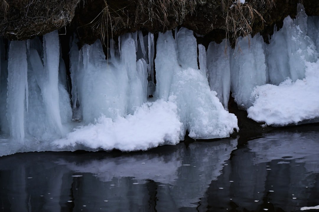 Nature’s Cold Toolbox (image credits: unsplash)