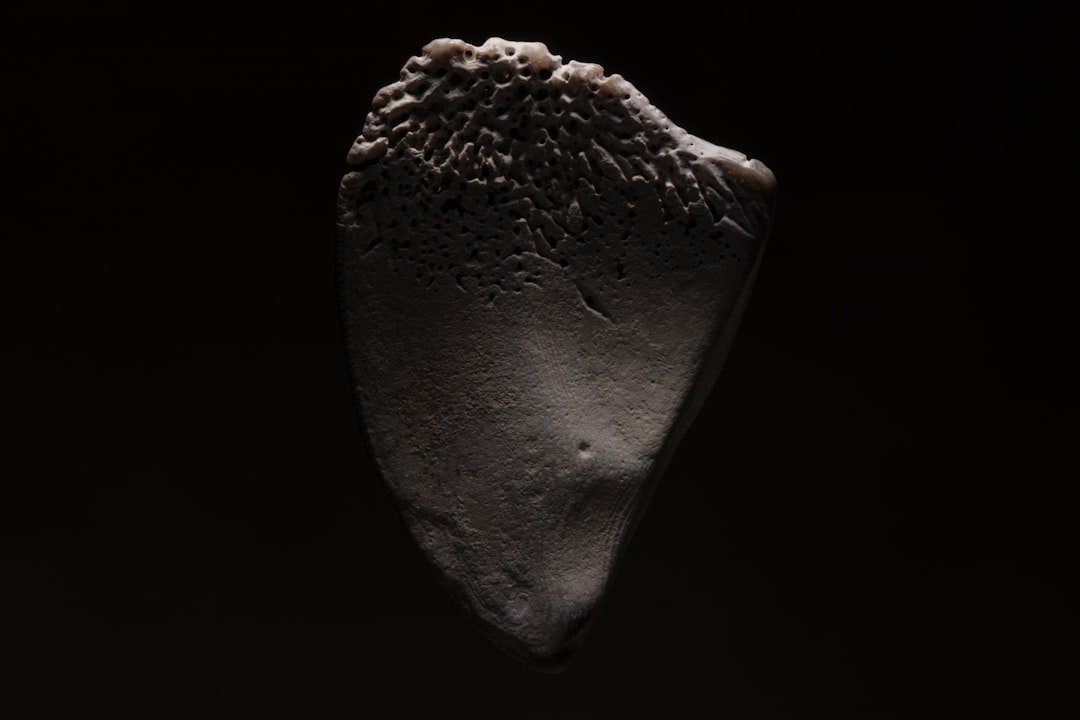 Pristine Building Blocks of Life: What Bennu’s Samples Brought Home (image credits: unsplash)