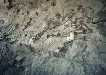 A Quarry with a Story (image credits: wikimedia)