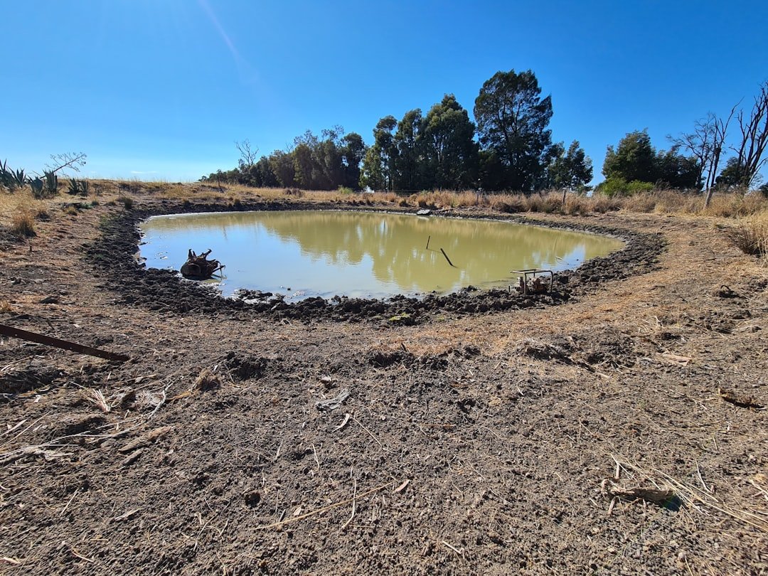 The Debate: Predator Trap or Drought Disaster? (image credits: unsplash)