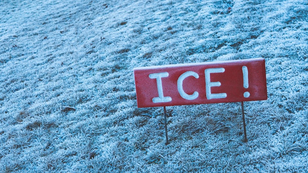 Texas, Not Tundra: A Different Kind of Ice Age (image credits: unsplash)