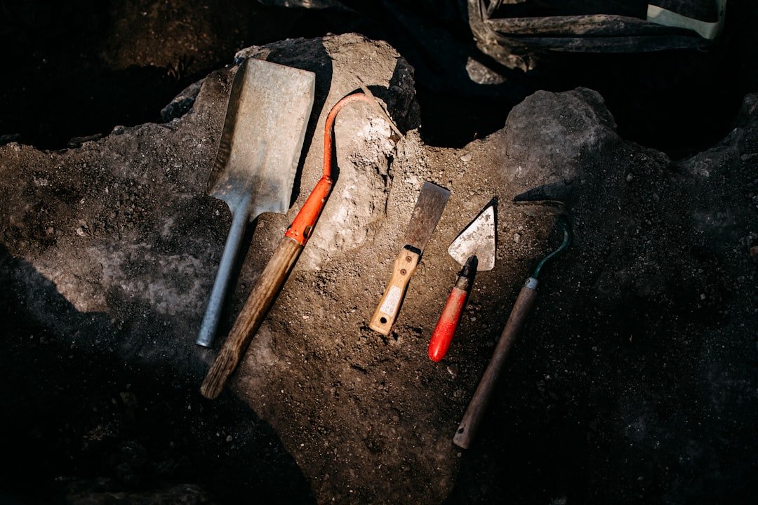 From Ancient Tools to Modern Science (image credits: unsplash)