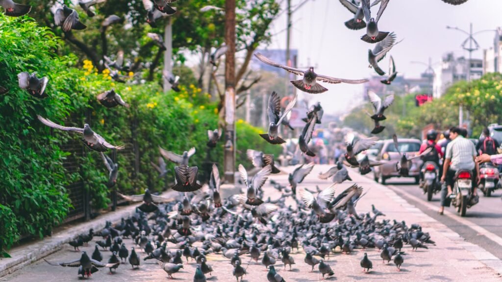 Dynamic scene of pigeons in flight on a bustling city street.