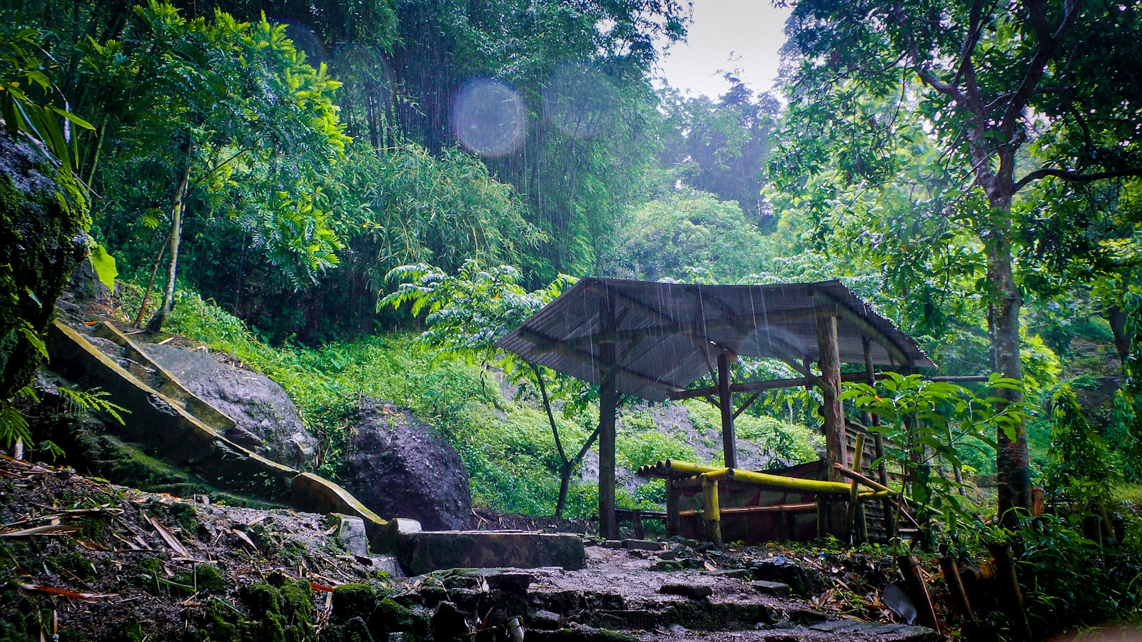 How Climate Change Shaped Human Evolution Over Millennia