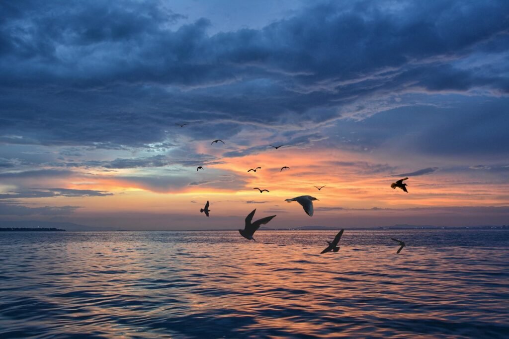 Tranquil scene of birds flying over the ocean during a colorful sunset.