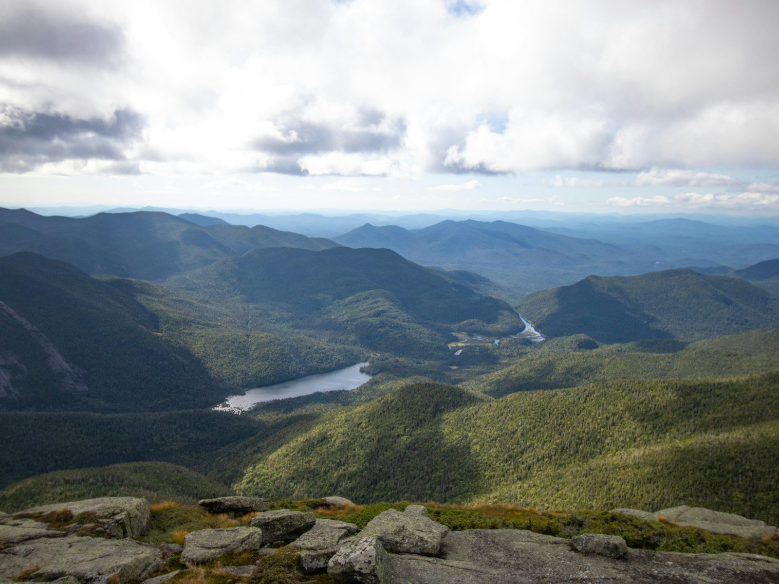 The Secret Wildlife of New York’s Adirondacks