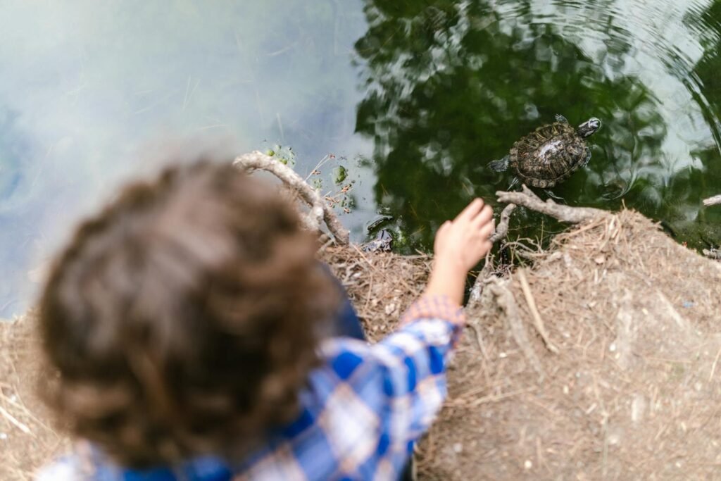 A child reaching out to a turtle swimming in a pond surrounded by nature.