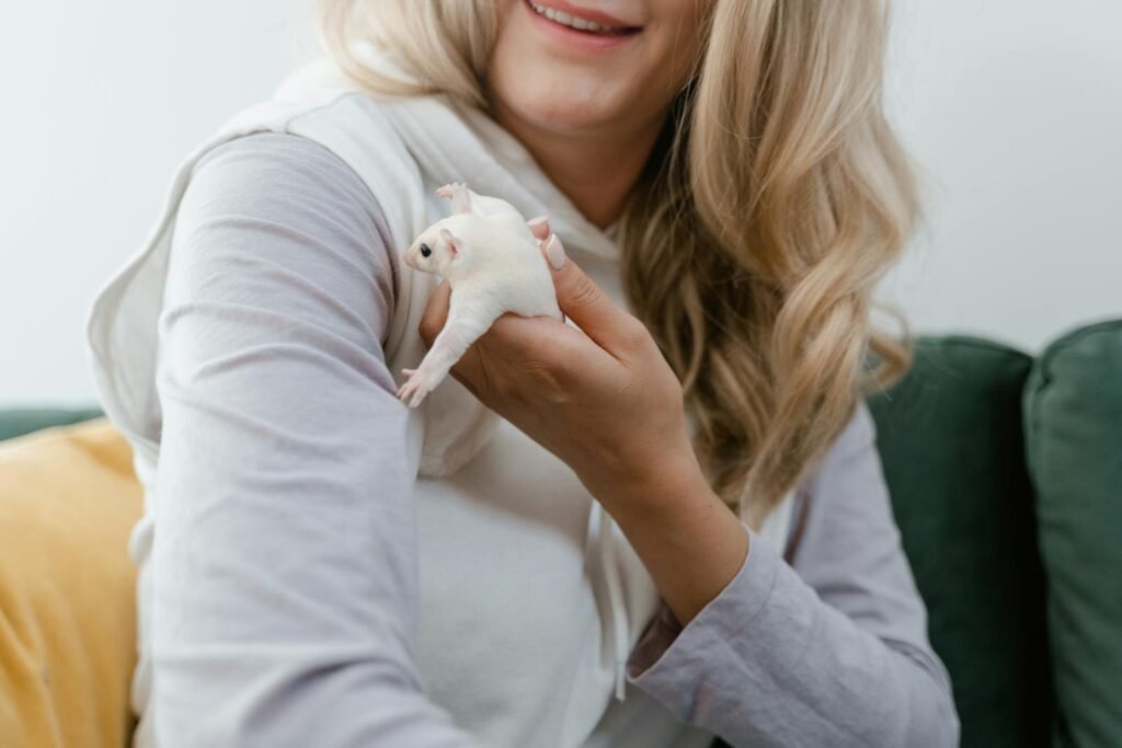 A woman gently holding a white sugar glider indoors, showcasing a moment of joy and tenderness.