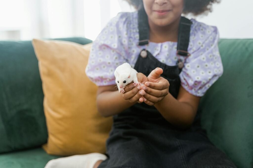 A smiling girl gently holding a sugar glider on a sofa indoors, showcasing a moment of joy and curiosity.