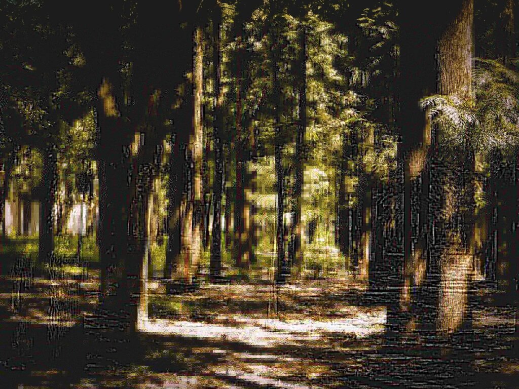 brown tree trunk on forest during daytime