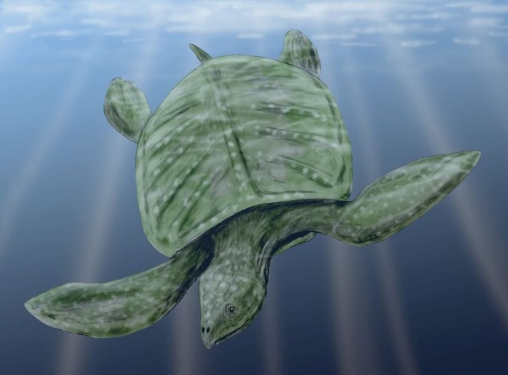 Archelon: The Cretaceous Sea Giant