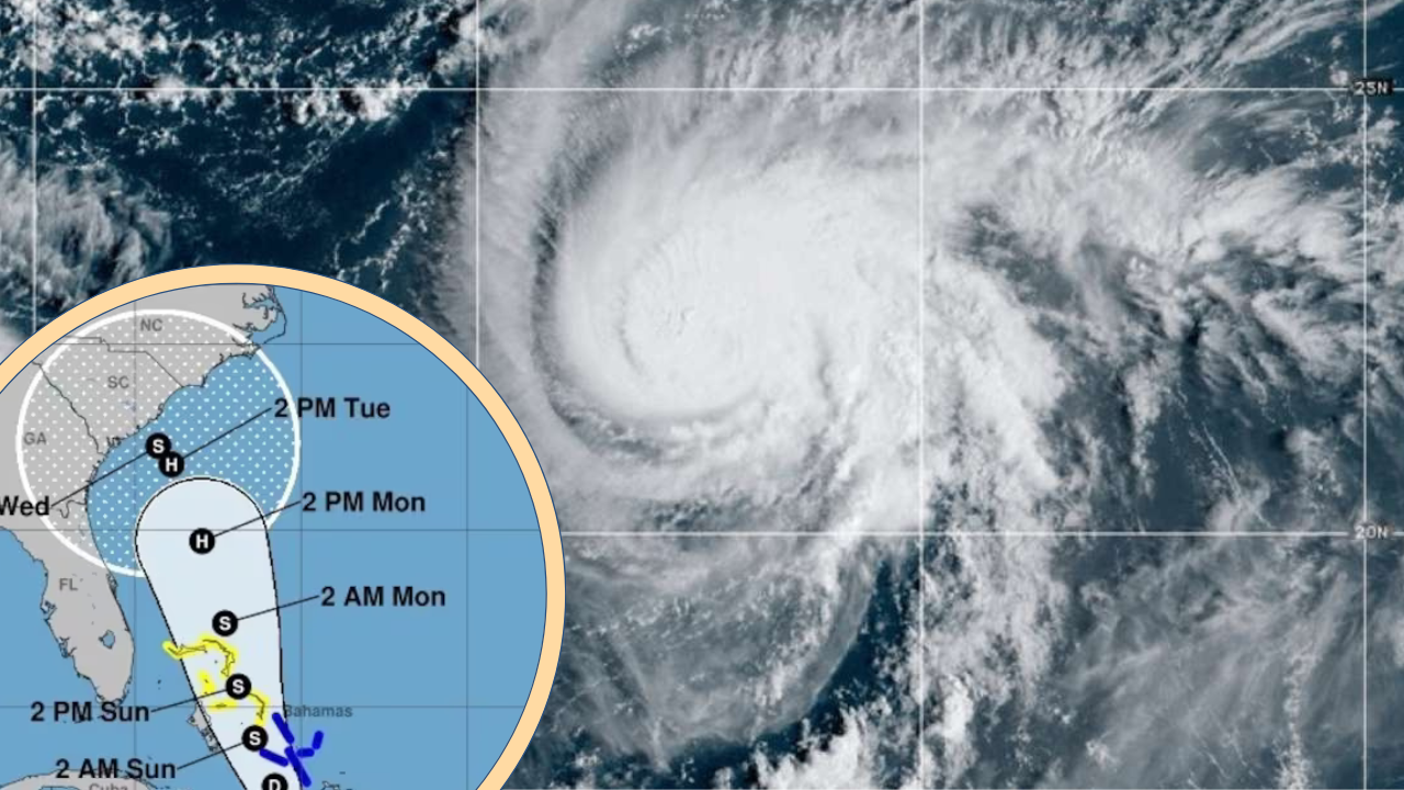 Tropical Nine Storm To Hit US East Coast As Hurricane Imelda Early Next Week.