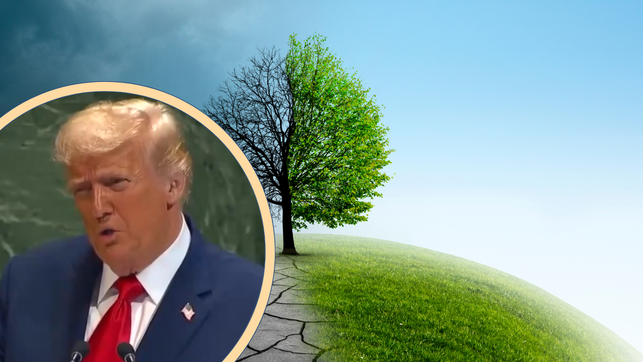 President Trump’s UN Address Sparks Global Debate After Labeling Climate Change Activism  a ‘Con Job’