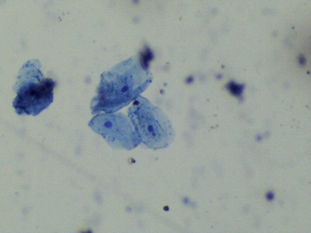 Most of Your Body's Cells Aren't Human