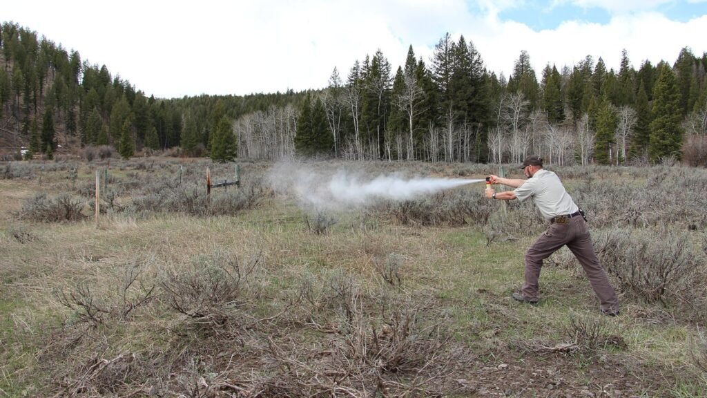 Training and Practice Techniques