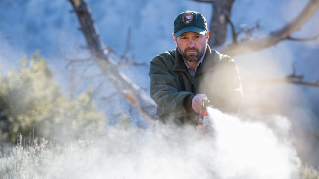 Understanding the Limitations of Bear Spray