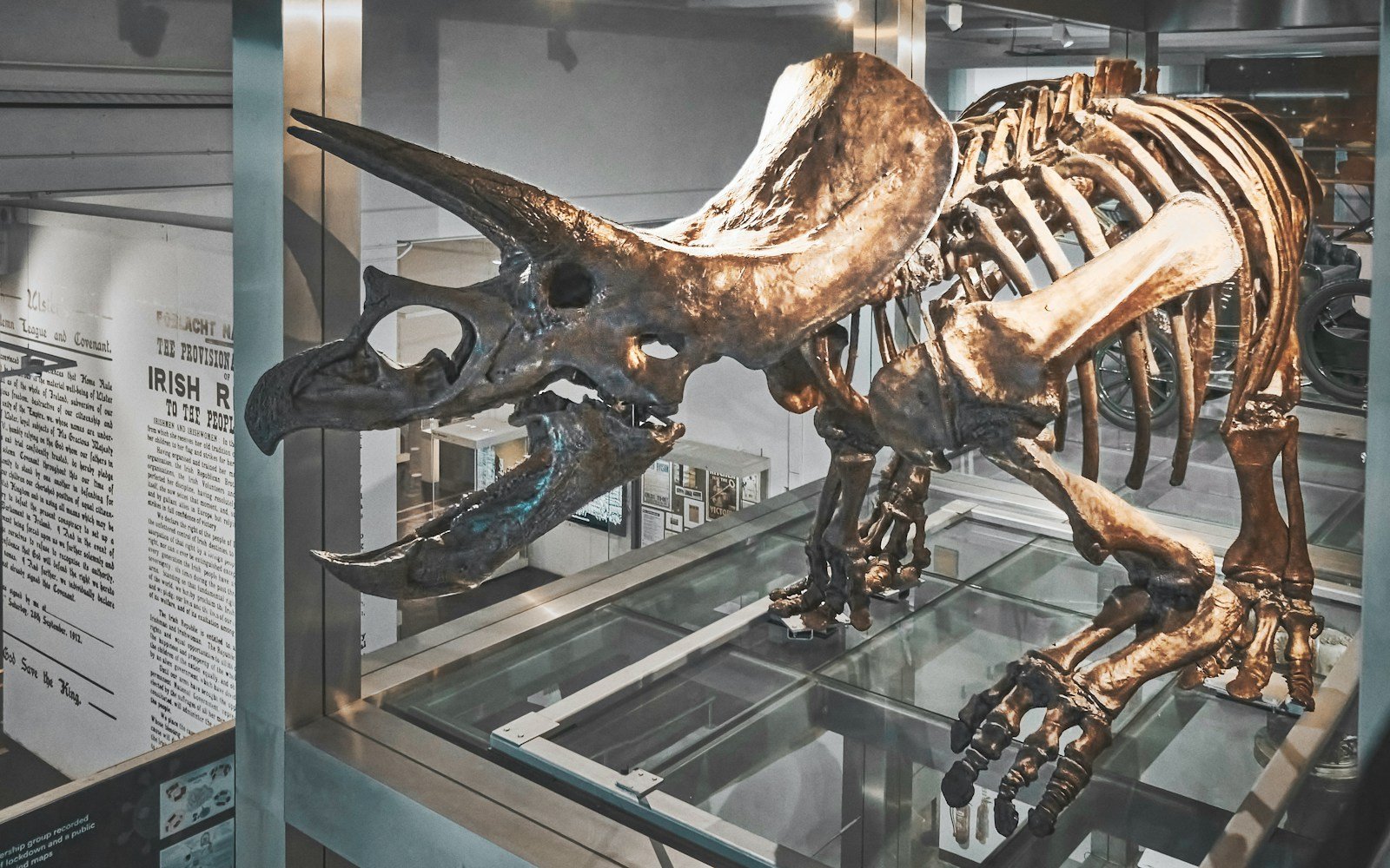 Top 7 Fossils That Were Once Considered Proof of Mythical Creatures