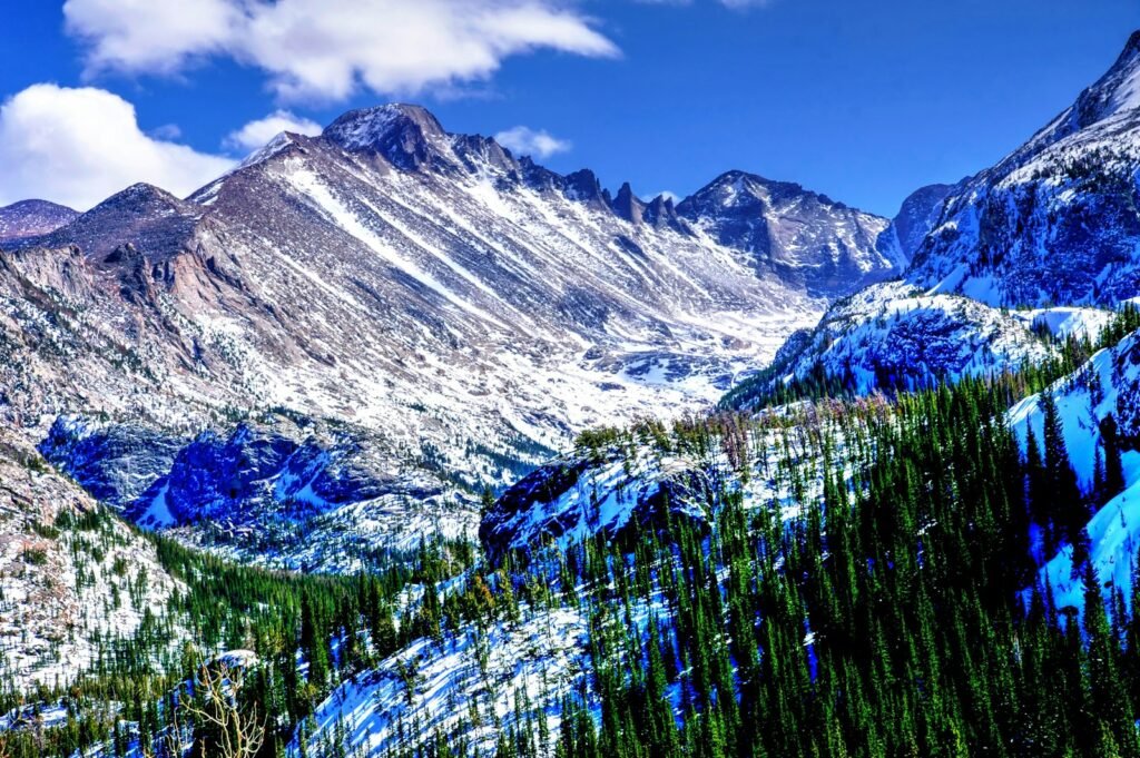 a snow covered mountain with pine trees in the foreground