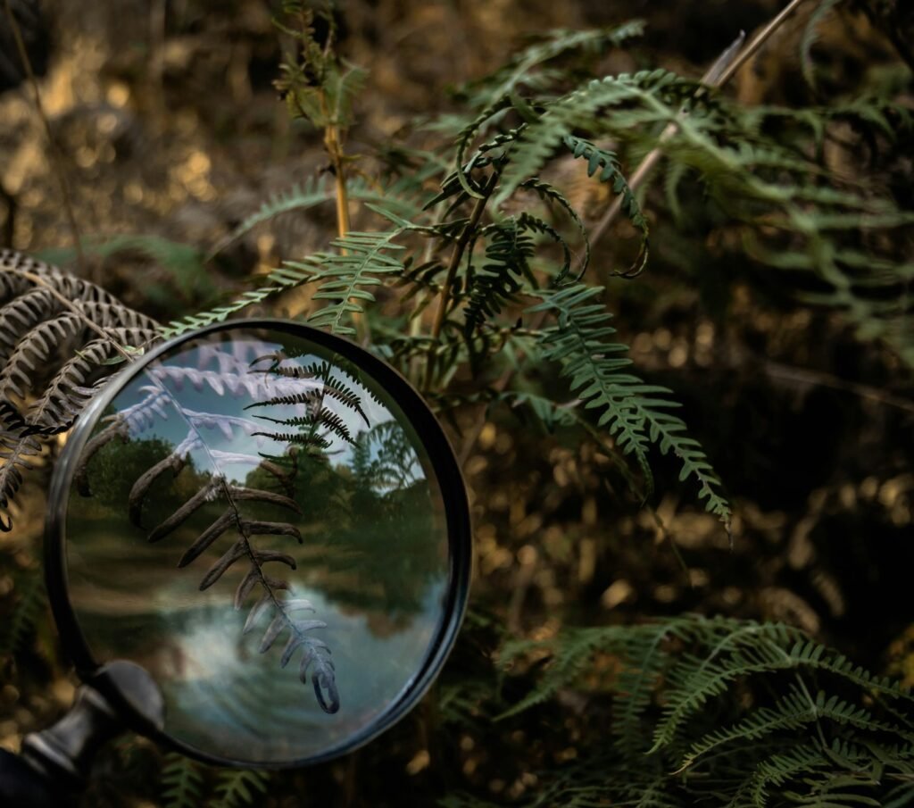 magnifying glass on a tree branch