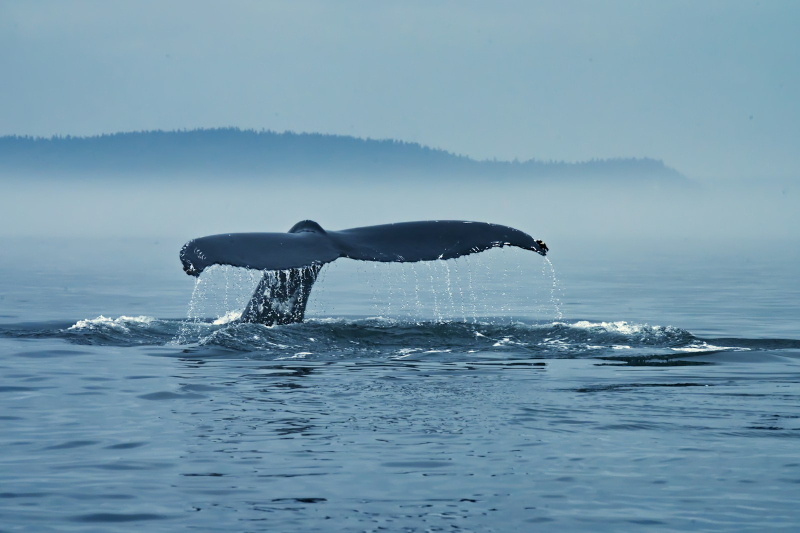 7 Misunderstood Animals That Are Secretly Saving the Planet