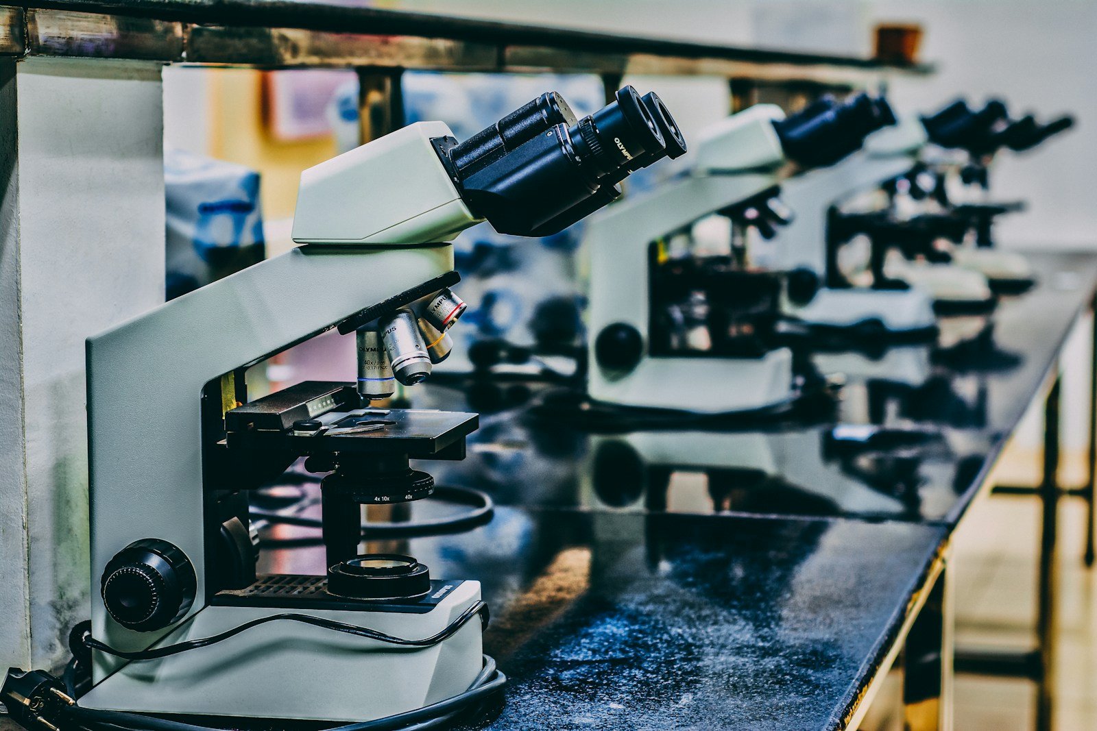 Frustrated scientist reviewing complex regeneration data in a laboratory.