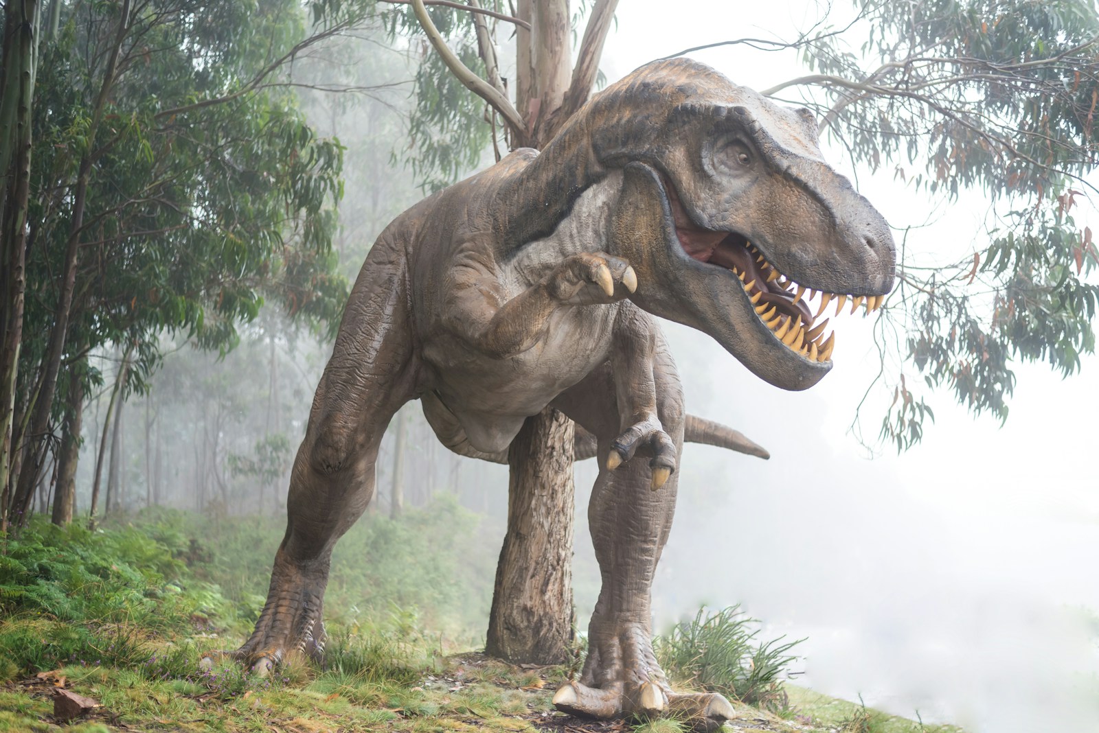 Could We Ever Bring Back a Real Dinosaur?