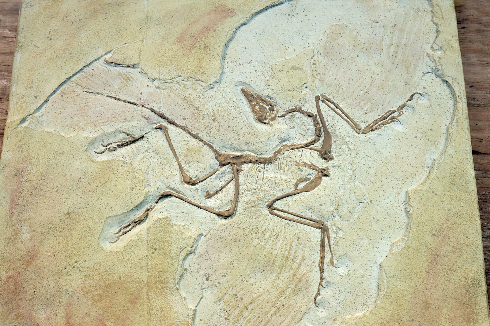 10 Prehistoric Misidentifications That Changed Science