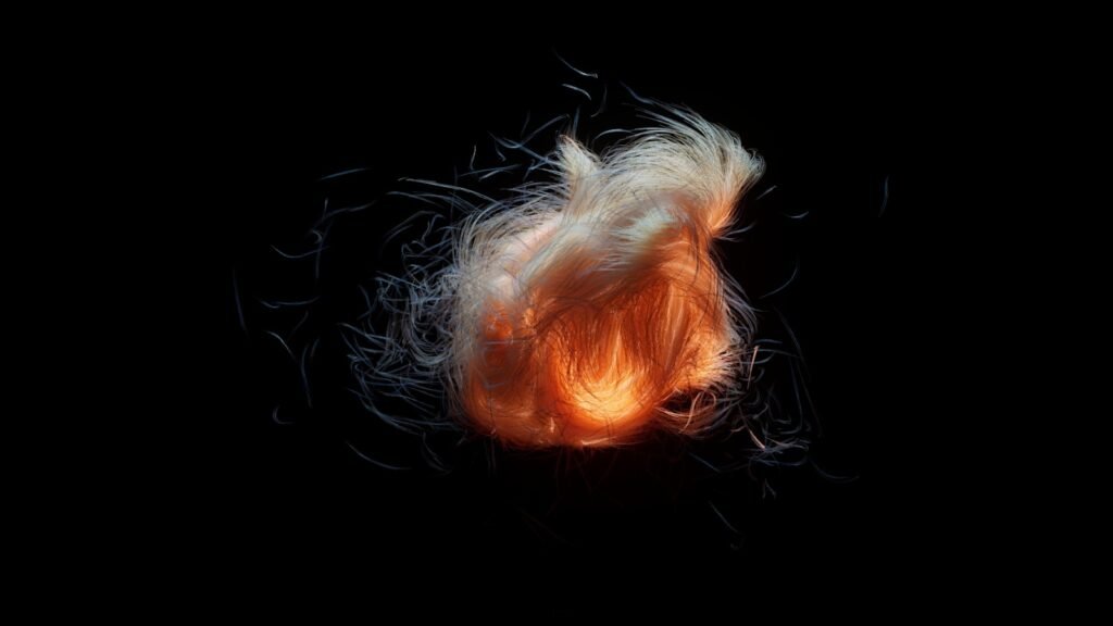 a close up of an orange object on a black background