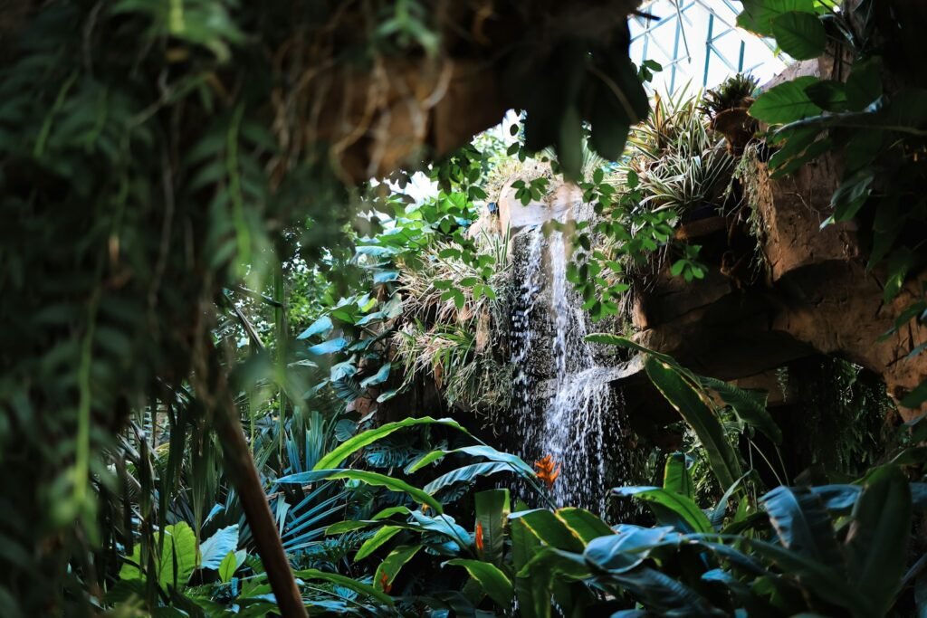 a waterfall in the middle of a tropical garden