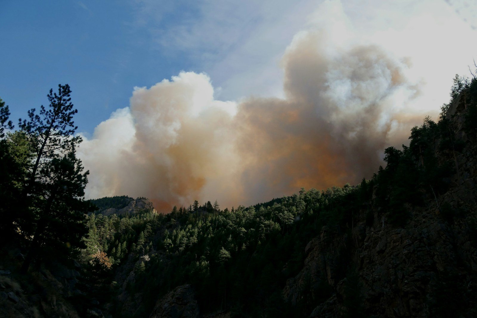 Colorado Wildfires That Redefined Fire Seasons