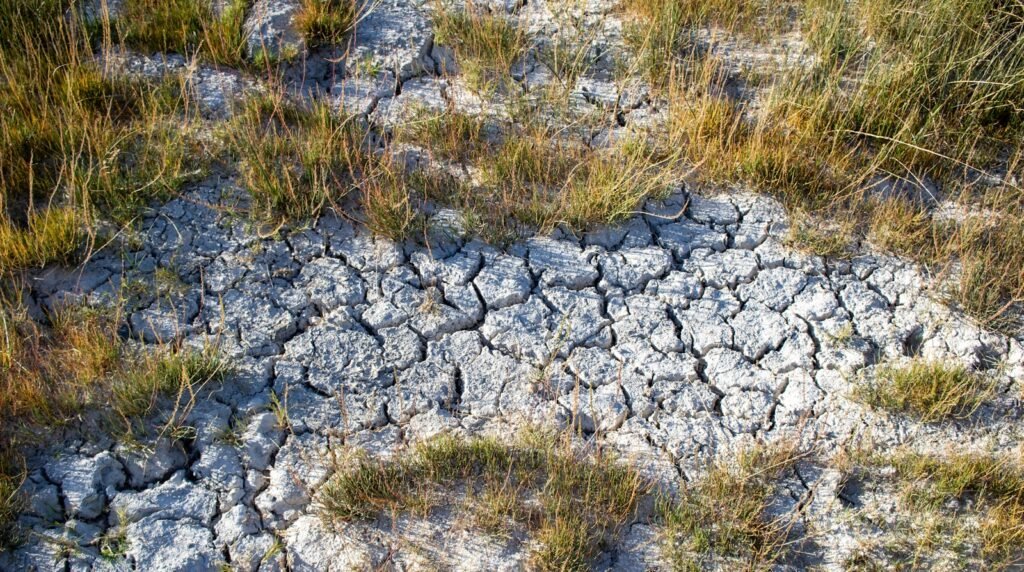 A patch of dirt with grass growing out of it