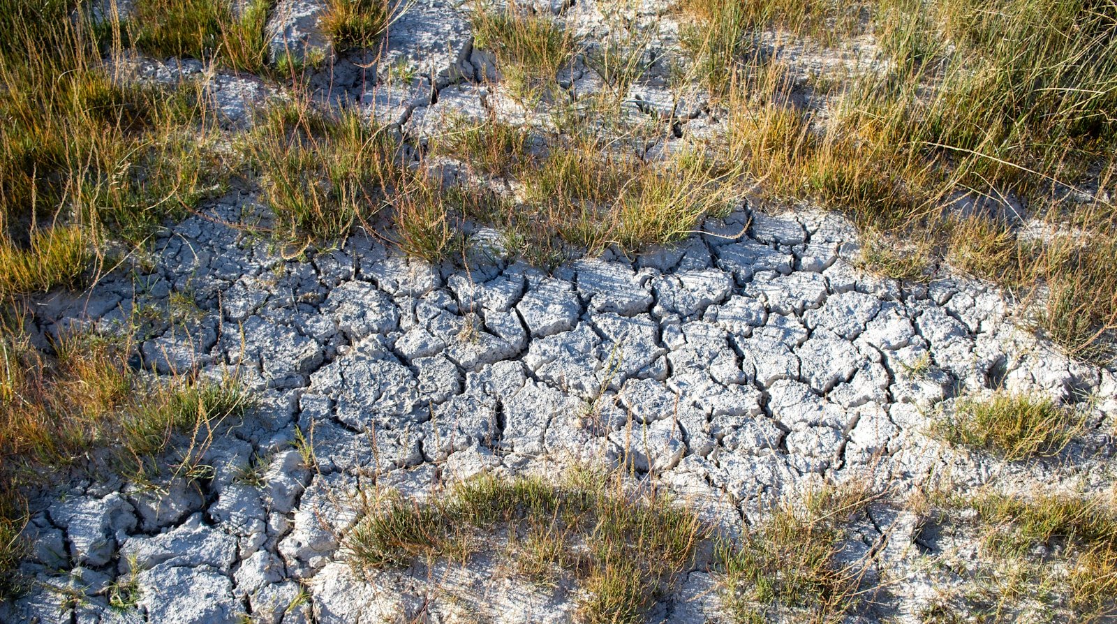 Is California Prepared for Another Mega-Drought?