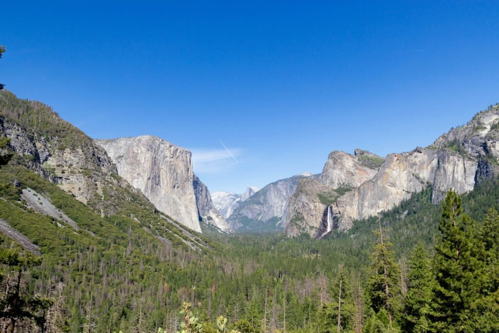 green trees near gray mountains