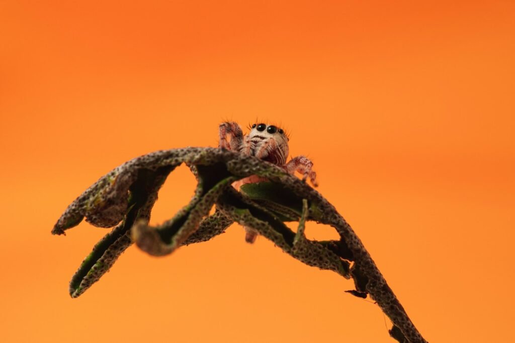 brown and black rope in close up photography
