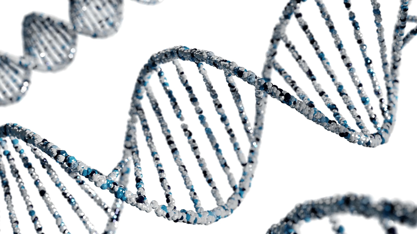 Step-by-Step: How DNA Identifies Victims of Fire, Flood, and Terror