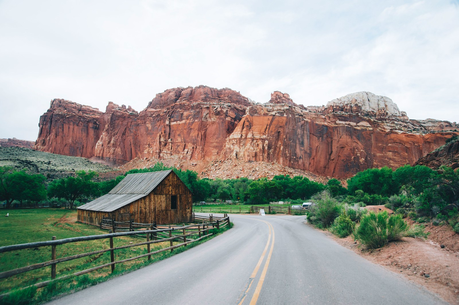 The Truth Behind Bigfoot Sightings in National Parks