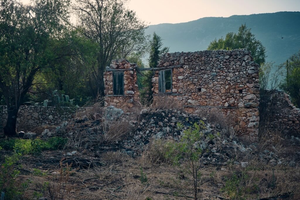 an old stone building in the middle of a forest