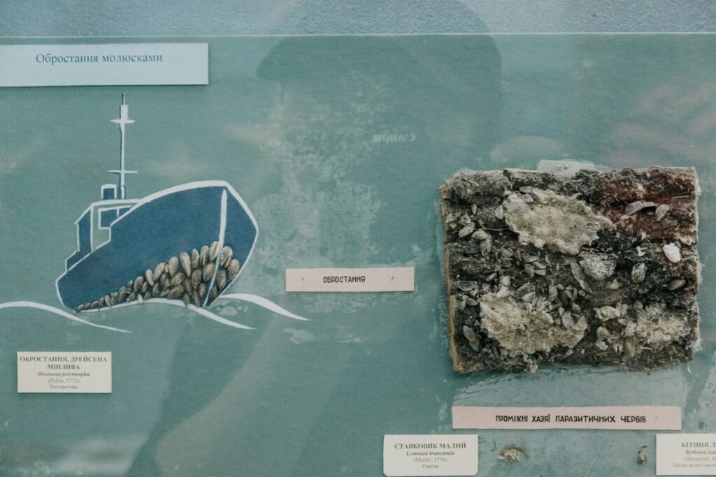 ship and stones on bulletin