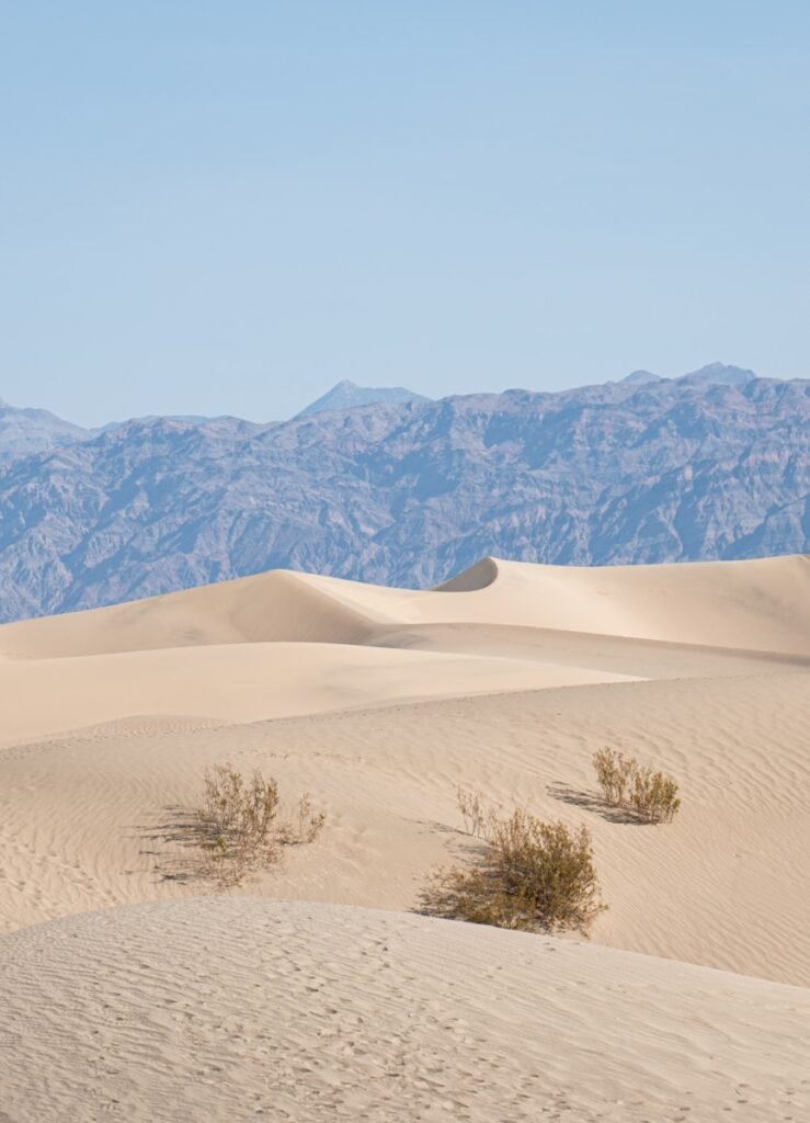 sand dunes with mountains in the background
