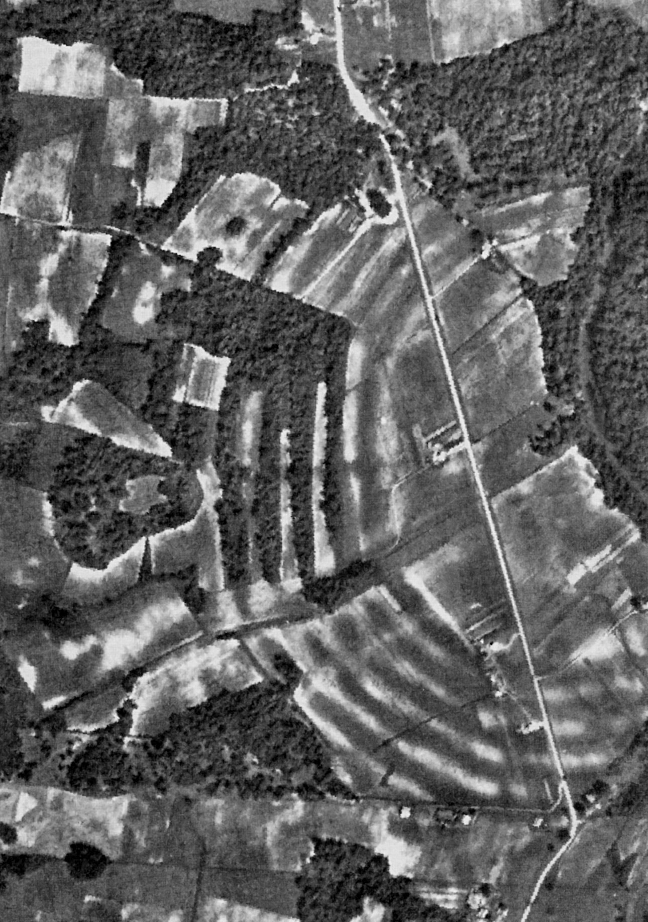 Poverty Point, Louisiana (image credits: wikimedia)