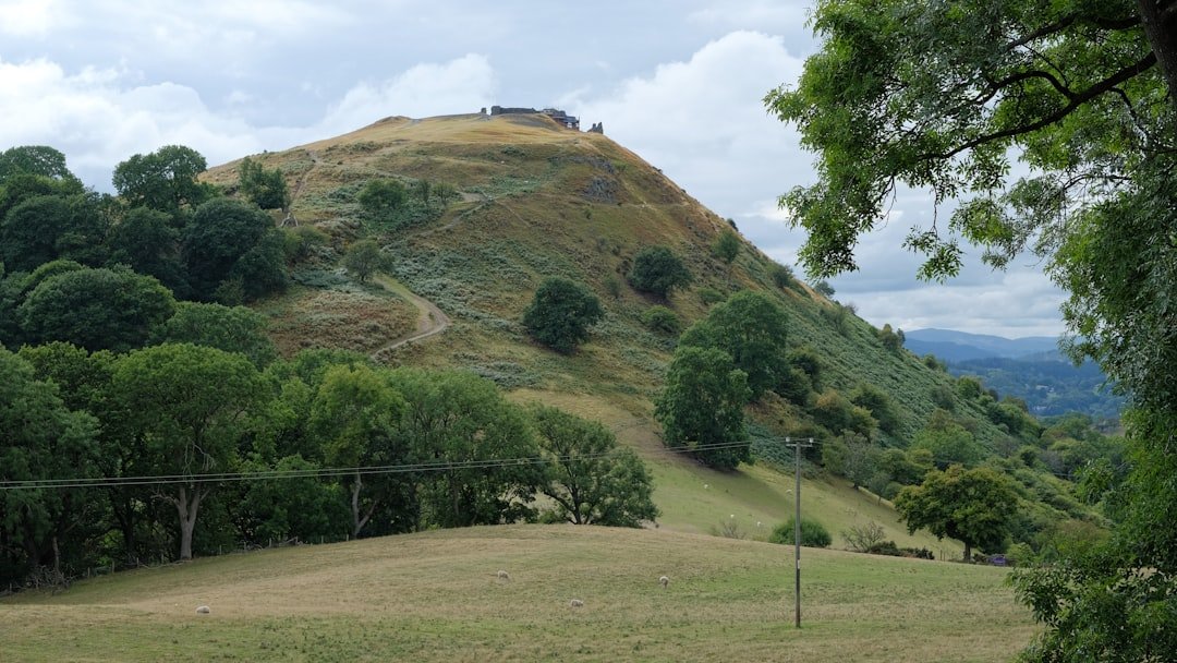 Moundville, Alabama (image credits: unsplash)