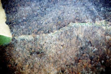 Effigy Mounds, Iowa (image credits: wikimedia)
