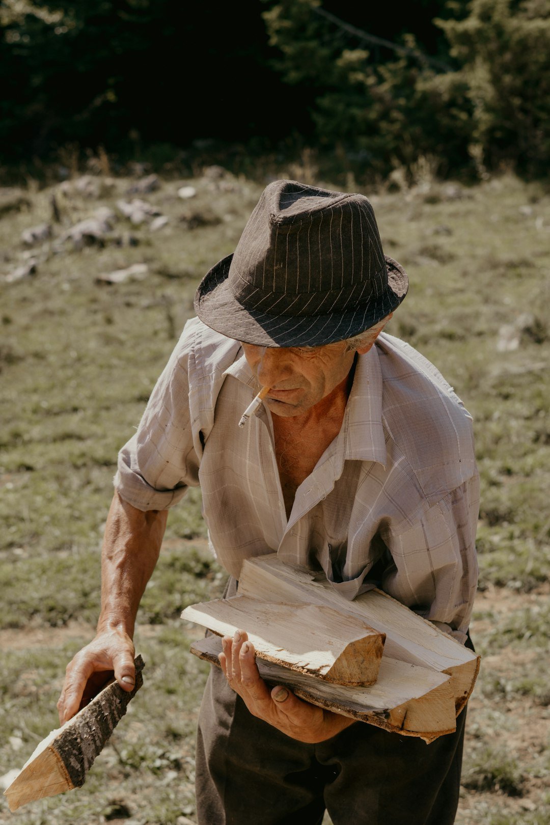 How You Can Help (image credits: unsplash)