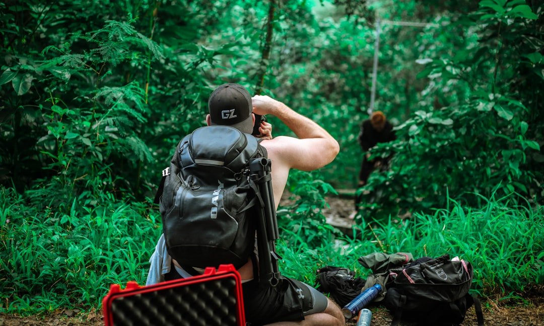 Leo: The Dramatic Leader (image credits: unsplash)