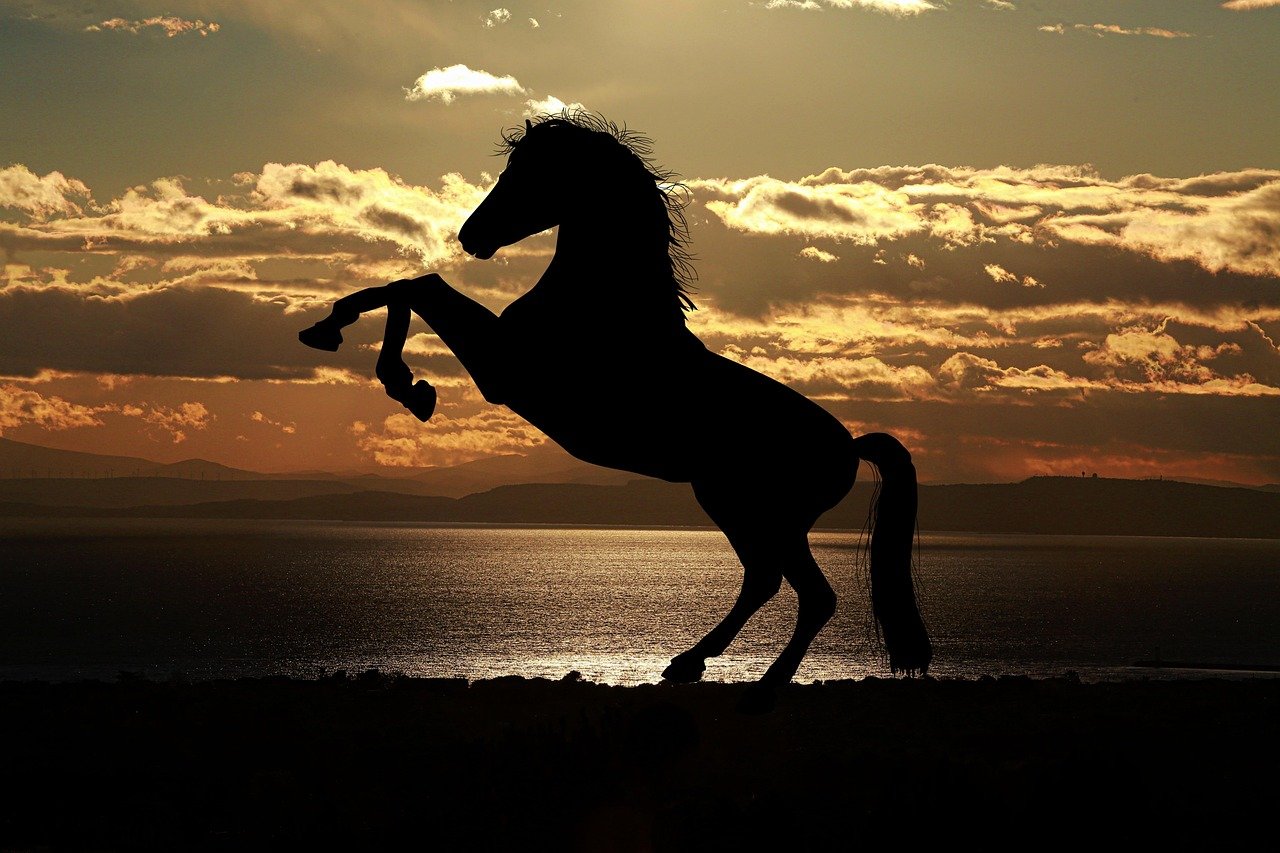 Sagittarius: The Wild Stallion (image credits: pixabay)