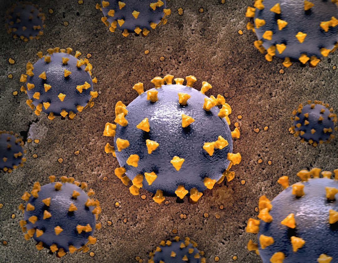 Energy, Inflammation, and the Cellular Battlefield (image credits: unsplash)